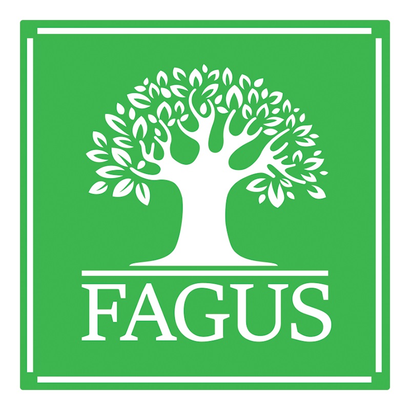 Купить товарный знак Fagus